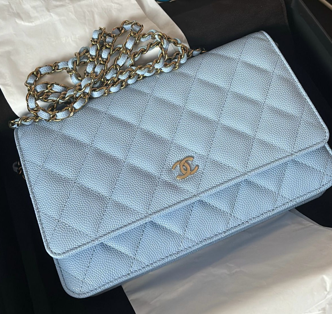 Chanel Wallet On Chain WOC Caviar Leather (Baby Blue)