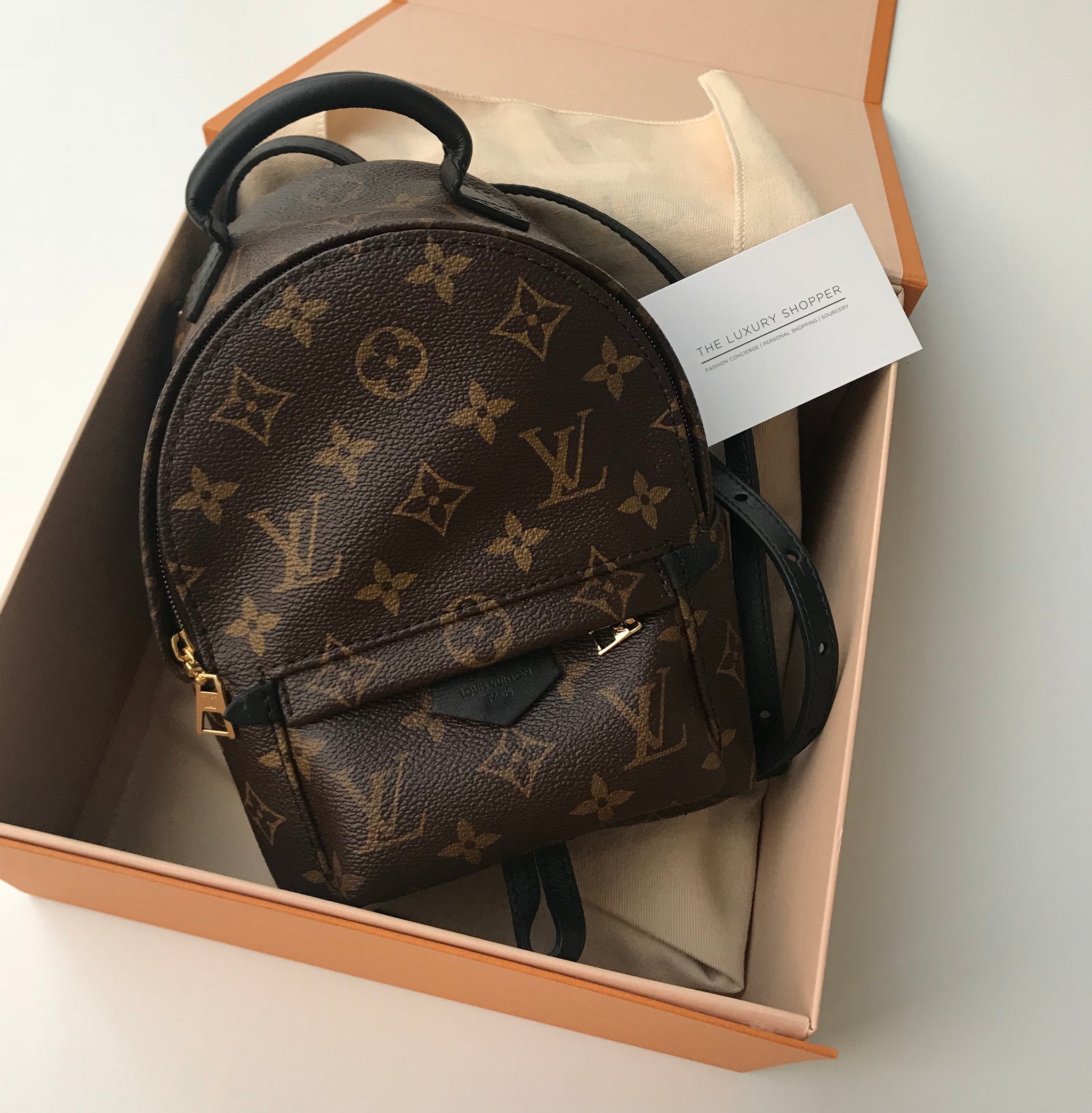 Louis Vuitton Palm Springs Mini Monogram