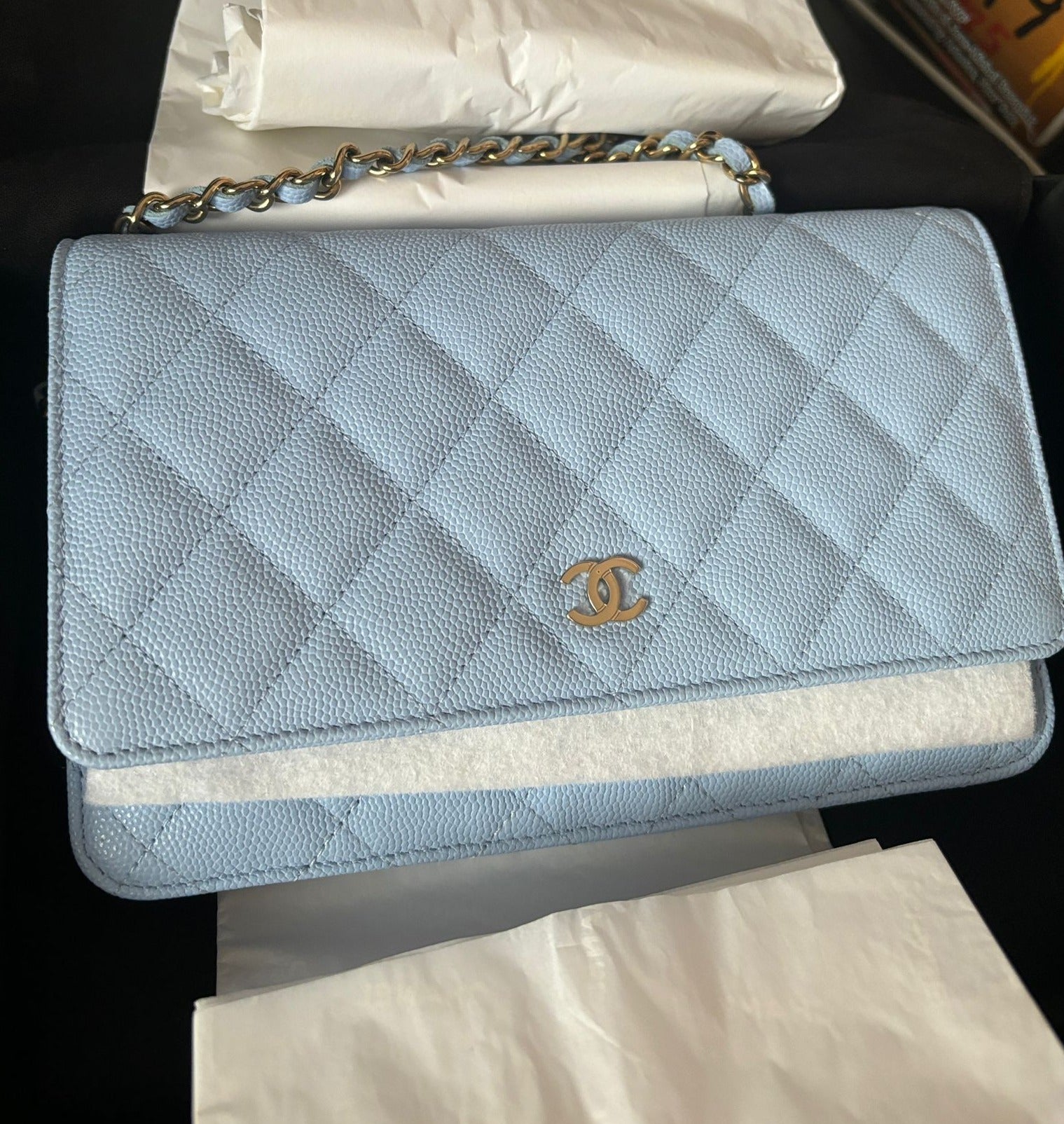 Chanel Wallet On Chain WOC Caviar Leather (Baby Blue)
